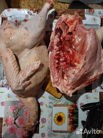 Индюшатина мясо, фарш, суповые наборы, котлеты