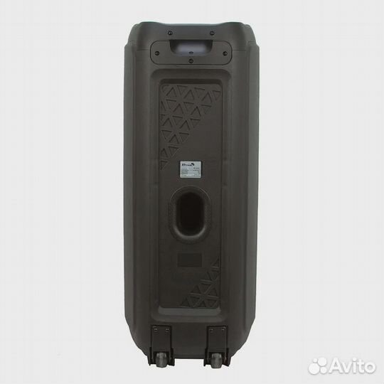 Колонки портативные ELTronic 20-53 караоке