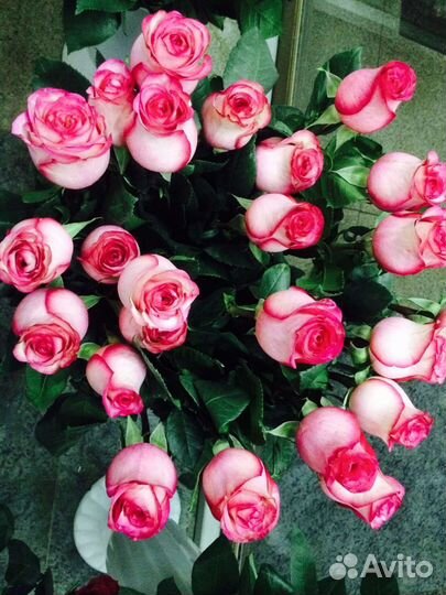 Цветы розы букет