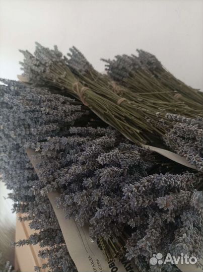 Лавандин пучки