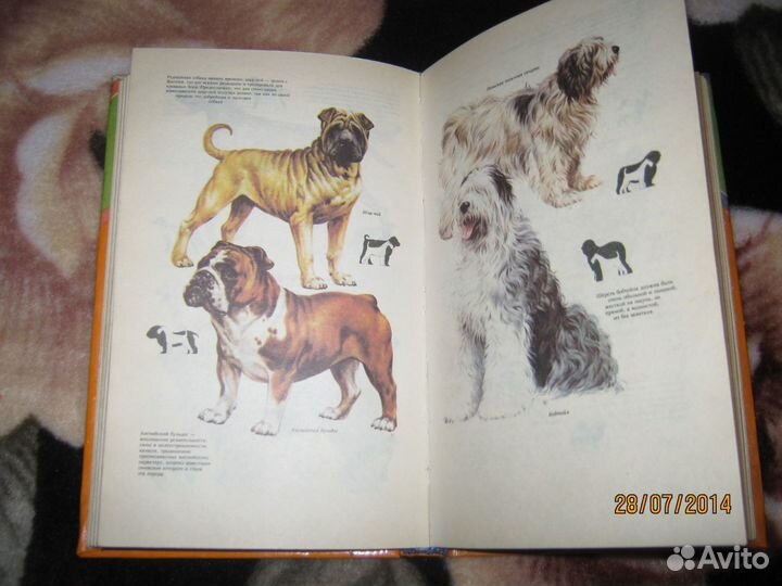 Энциклопедия собакавода