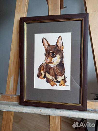 Портрет чихуахуа