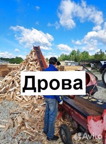 Дрова берёза
