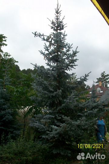 Крупномеры