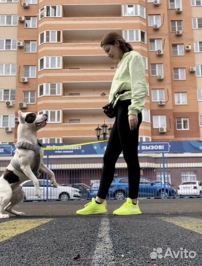 Кинолог зоопсихолог с выездом и онлайн