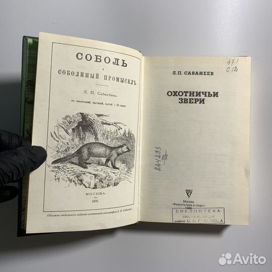 Охотничьи звери. Л.П. Сабанеев. 1988