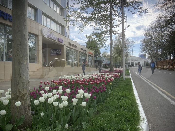 Офис, 125 м²