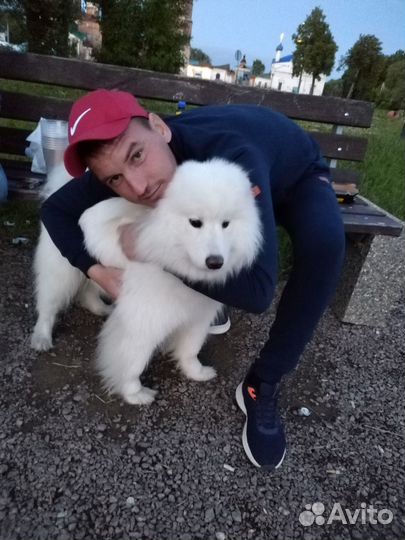 Грузчик,разнорабочий,подсобный рабочий