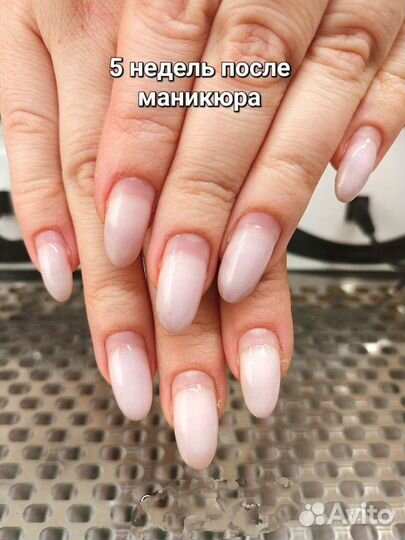 Наращивание, гель-лак, маникюр, педикюр