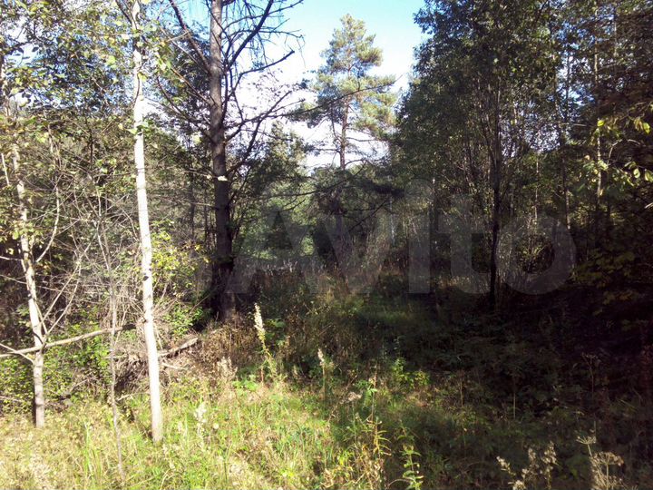 Участок 15 сот. (ИЖС)