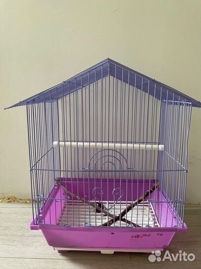 Продвм клетку