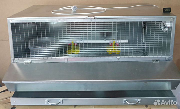 Брудер для цыплят