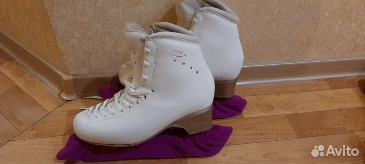 Фигурные коньки edea chorus 245