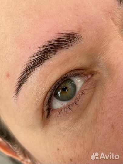 Мастер бровист