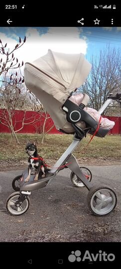Коляска stokke xplory 2 в 1