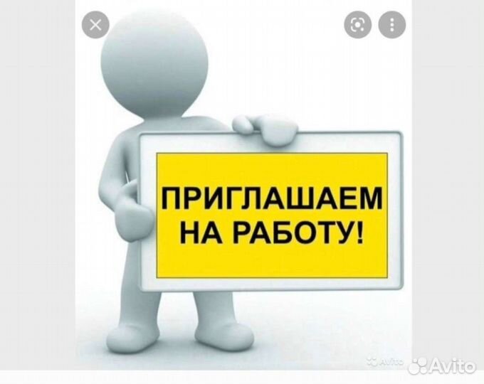 Счетчик ревизор