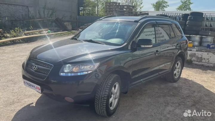 Проводка двери задней левой Hyundai Santa Fe (CM) 91650-2B010