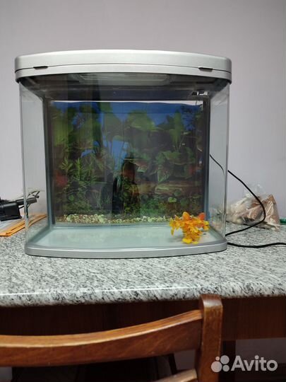 Аквариум с фильтром и светом