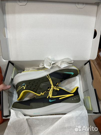 Nike pegasus 39 shield