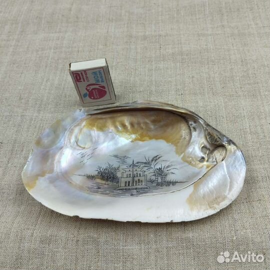 Сувенир. Раковина. Винтаж. Вьетнам