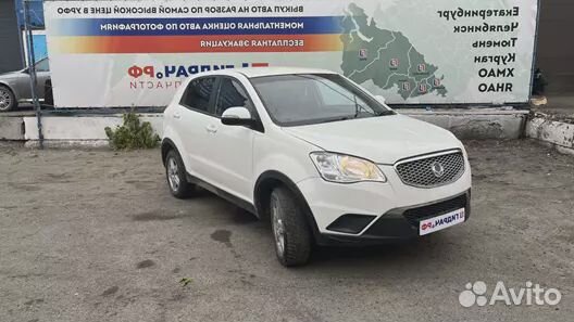 Амортизатор передний левый Ssang Yong Actyon New 4