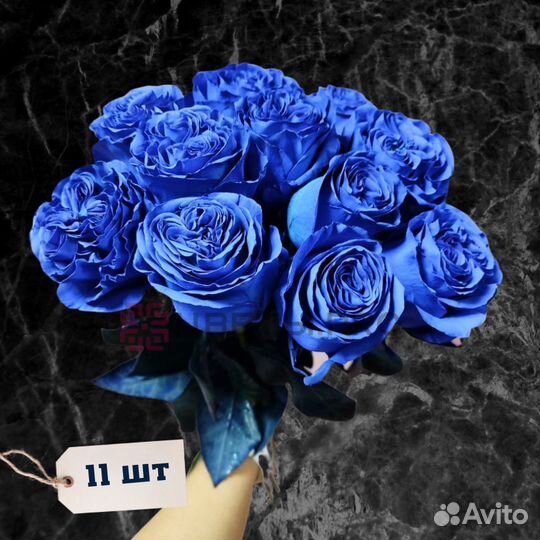 Розы (60 см) синие Эквадор 11 шт