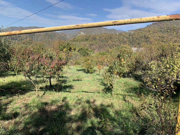 Участок 16 сот. (СНТ, ДНП)