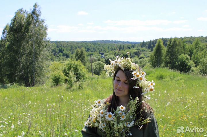 Репетитор математики, физики и информатики