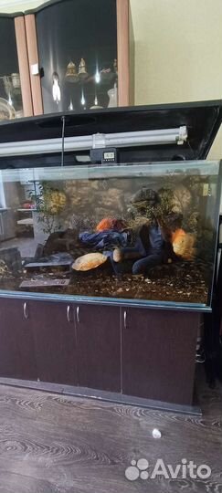 Аквариум с тумбой 550 литров