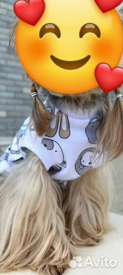 Маечка для мелких собак