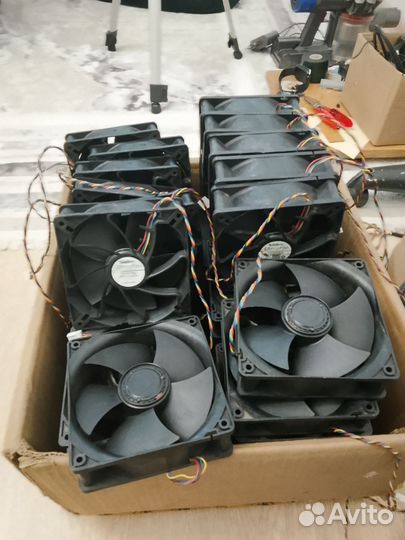 Куллера nidec для s19