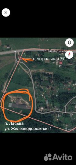 Индюки виктория, бронзовые с 12 июля