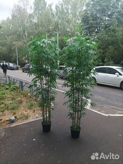 Искусственное дерево бамбук классический