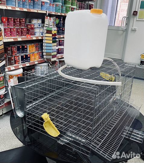 Клетки для перепелов, Перепела, ия, все в наличии