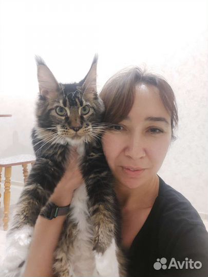 Котоняня