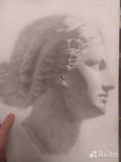 Репетитор по рисунку, живописи, скульптуре