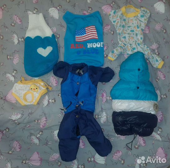 Одежда для собак (L)