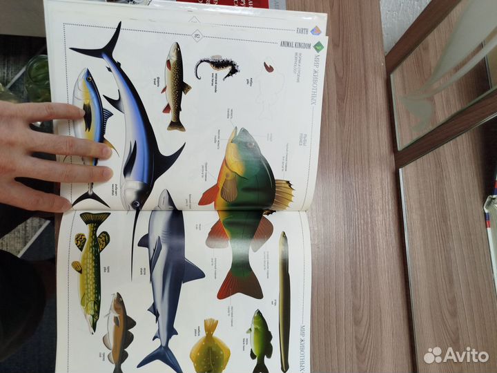 Иллюстрированный словарь англо-русский