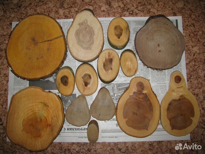 Спилы (Срезы) дерева для декора (торцевые)