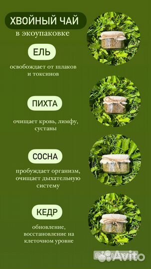 Таежные лечебные травы