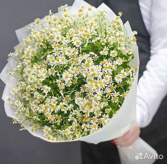 Ромашки букет