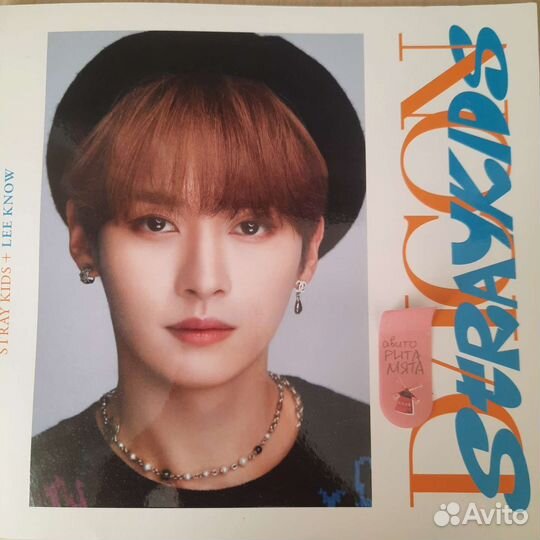 Mini Dicon Fiesta Stray Kids Minho