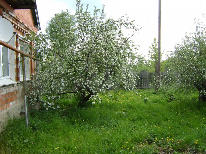 Дом 200 м² на участке 28 сот.