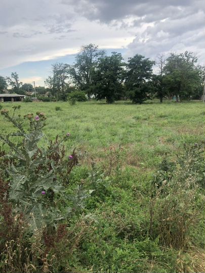 Участок 20,5 сот. (ИЖС)