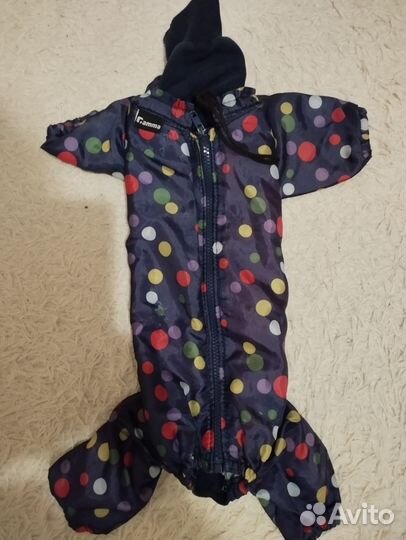 Комбез на китайскую хохлатую