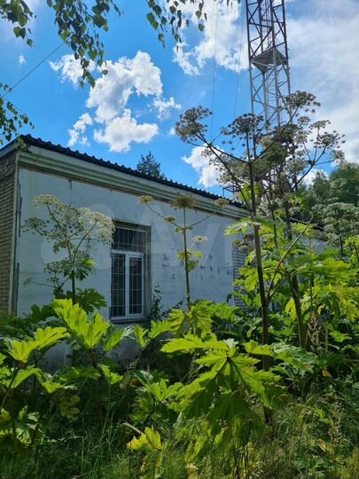 Производство, склад, 212.3 м²
