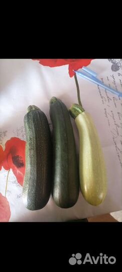 Кабачки свои