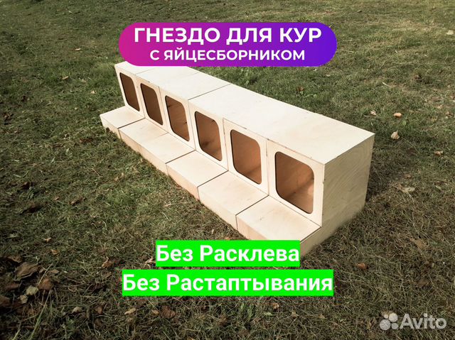 Изготовление насеста для кур своими руками: что надо знать о его размерах и устройстве