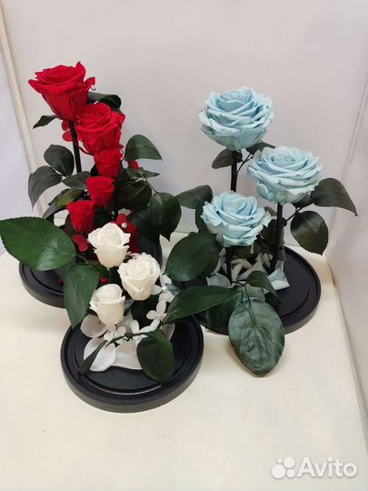 Подарок на новый год / Цветы