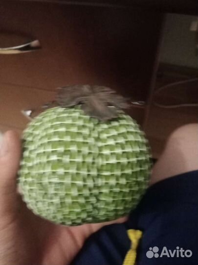 Тыква зелёная на хэллоуин